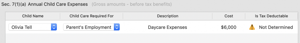 Child Care Expense With Particulars Set